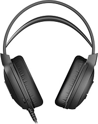 Наушники с микрофоном A4Tech Fstyler FH300U черный 2м мониторные USB оголовье (FH300U BLACK)