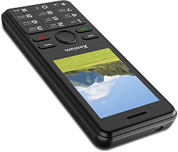 Мобильный телефон Xenium X280 черный моноблок 2Sim 2.8" 240x320 Nucleus 0.3Mpix GSM900/1800 MP3 FM m