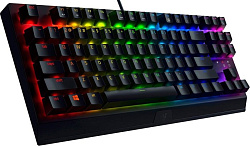 Клавиатура Razer BlackWidow V3 TKL механическая черный/черный USB Multimedia for gamer LED (RZ03-034