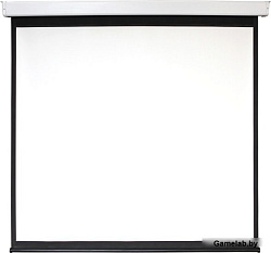 Экран 213x213см Digis Electra-F DSEF-1107 1:1 настенно-потолочный рулонный (моторизованный привод)DS