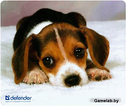 Коврик для  мыши Defender  тканевый Шелковый  230x190x3 мм