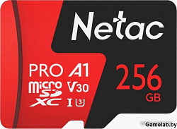 Netac P500 Extreme 256GB Pro MicroSDXC V30/A1/C10 up to 100MB/s, retail pack card only