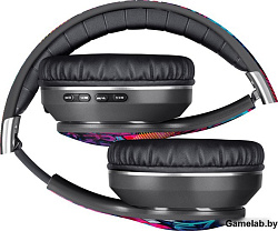 Гарнитура FREEMOTION B595 BLACK+GRAPHITE 63597 DEFENDER