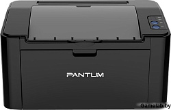 Pantum P2207P2207