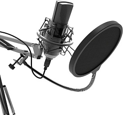 Микрофон проводной Ritmix RDM-180 2.5м черный