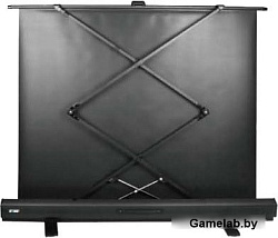 Экран Cactus 113x200см FloorExpert CS-PSFLE-200X113 16:9 напольный рулонный