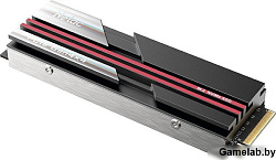 Netac SSD NV7000 PCIe 4 x4 M.2 2280 NVMe 3D NAND 1TB, R/W up to 7200/5500MB/s, with heat sink, 5y wt