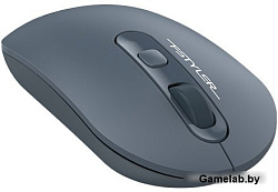 Мышь A4 Fstyler FG20 пепельный/синий оптическая (2000dpi) беспроводная USB для ноутбука (4but)