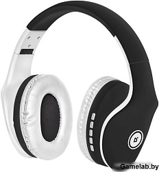 Гарнитура FREEMOTION B525 BLACK/WHITE 63525 DEFENDER