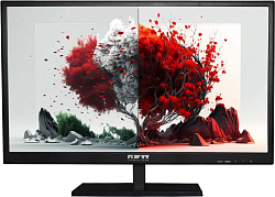 Монитор RDW Computers 23.8" RDW2401K черный IPS 4ms 16:9 HDMI матовая 250cd 178гр/178гр 1920x1080 10