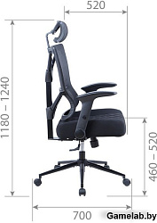 Chairman CH566 оранжевый