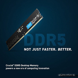 Crucial Модуль памяти Crucial 16GB DDR5 5600 DIMM CT16G56C46U5 CL46, 1.1V,