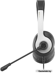Наушники с микрофоном A4Tech Fstyler FH100U белый/черный 2м накладные USB оголовье (FH100U)