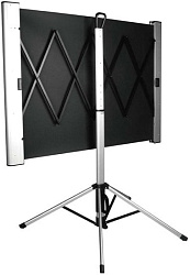 Экран Cactus 102x180см TriAlExpert CS-PSTALE-180X102 16:9 напольный рулонный