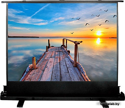 Экран Cactus 113x200см FloorExpert CS-PSFLE-200X113 16:9 напольный рулонный