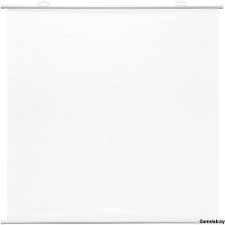 Экран Cactus 150x150см Map type CS-PSRM-150x150-WT 1:1 настенно-потолочный рулонный белый