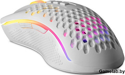 Мышка USB STORM RGB WHITE REDREGON 77933 DEFENDER