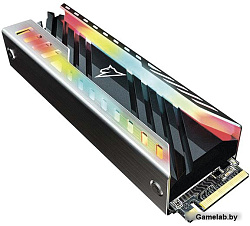 Накопитель SSD Netac M.2 2280 NV3000 RGB NVMe PCIe 2Tb NT01NV3000RGB-2T0-E4X (heat sink)