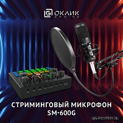 Микрофон проводной Оклик SM-600G 2.5м черный