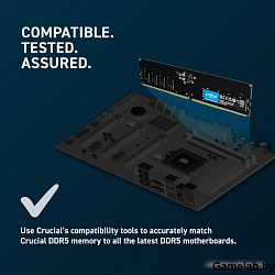 Crucial Модуль памяти Crucial 16GB DDR5 5600 DIMM CT16G56C46U5 CL46, 1.1V,