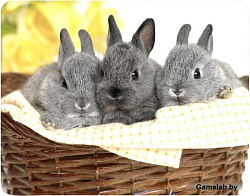 Коврик для мыши Buro BU-M40092 рисунок/кролики