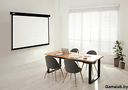 Экран Cactus 213x213см Wallscreen CS-PSW-213X213-BK 1:1 настенно-потолочный рулонный черный