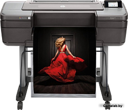 HP DesignJet Z9+ PS Printer (24",9 colors, pigment ink, 2400x1200dpi,128 Gb(virtual),500 Gb HDD, Gig