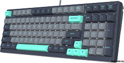 Клавиатура A4Tech Fstyler FS300 механическая черный/серый USB for gamer LED (FS300 PANDA ROCK)