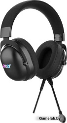 Наушники с микрофоном Acer AHW122 черный 2.1м мониторные USB оголовье (ZL.HDSCC.01U)