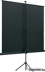 [LEV-100109] Экран на штативе Lumien Eco View 220x220см (раб.область 214х214 см) Matte White с возмо