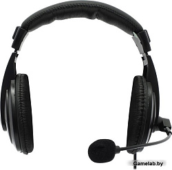 Гарнитура GRYPHON 750 BLACK 63750 DEFENDER Компьютерная гарнитура Gryphon 750 черный, кабель 2 м