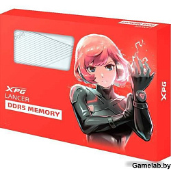 Модуль памяти DIMM 16GB DDR5-6000 AX5U6000C3016G-DCLAWH ADATA