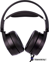 Наушники с микрофоном Thermaltake Riing Pro черный (GHT-RPR-DIECBK-29)