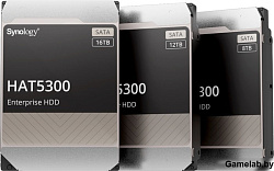 Жесткий диск SATA 12TB 7200RPM 6GB/S 256MB HAT5300-12T SYNOLOGY