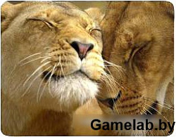 Коврик для мыши Buro BU-M40030 рисунок/лев