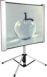 Экран Cactus 102x180см TriAlExpert CS-PSTALE-180X102 16:9 напольный рулонный