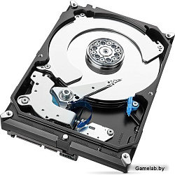 Seagate 4000Gb ST4000DM004