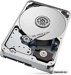 Жесткий диск Seagate Original SATA-III 12Tb ST12000VN0008 Ironwolf (7200rpm) 256Mb 3.5"