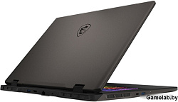 Ноутбук MSI Sword 17 HX B14VGKG-048XRU Core i9 14900HX 16Gb SSD1Tb NVIDIA GeForce RTX4070 8Gb 17" IP