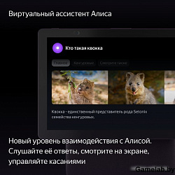 Умная колонка Yandex Станция Дуо Макс Zigbee Алиса красный 60W 1.0 BT/Wi-Fi 10м (YNDX-00055RED)