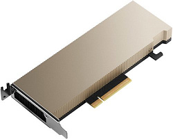Nvidia Tesla A2, 16GB GDDR6, PCIe Gen4 (x8), Half-height, half-length (HHHL), single-slot, Passive, 