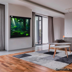 Экран Cactus 213x213см Wallscreen CS-PSW-213X213-BK 1:1 настенно-потолочный рулонный черный