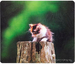 Коврик для  мыши Defender  тканевый Шелковый  230x190x3 мм