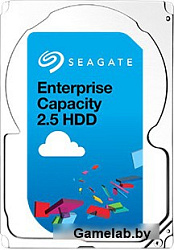 Seagate Enterprise Capacity 2TB (ST2000NX0273)