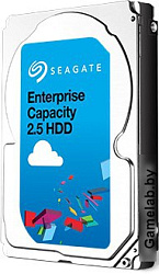 Seagate Enterprise Capacity 2TB (ST2000NX0273)