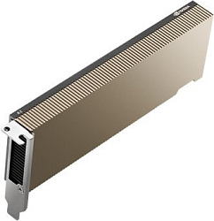 Nvidia Tesla A2, 16GB GDDR6, PCIe Gen4 (x8), Half-height, half-length (HHHL), single-slot, Passive, 