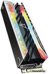 Накопитель SSD Netac M.2 2280 NV3000 RGB NVMe PCIe 2Tb NT01NV3000RGB-2T0-E4X (heat sink)