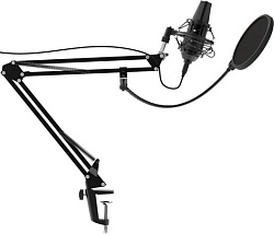 Микрофон проводной Ritmix RDM-180 2.5м черный