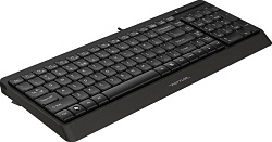 Клавиатура A4Tech Fstyler FK15 черный USB