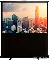 Экран Cactus 102x180см FloorCompactExpert CS-PSFLCE-180X102 16:9 напольный рулонный